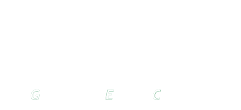 Logo Santec - Gynecology Energy Company