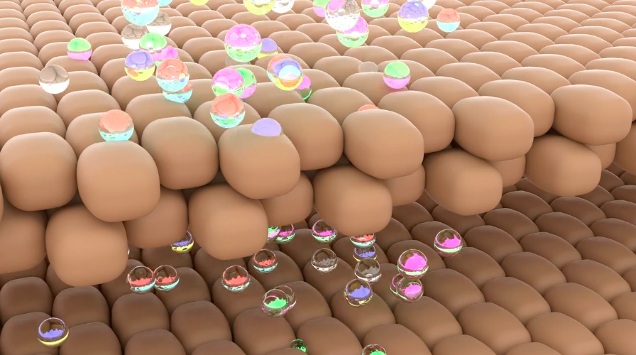 Temporanea permeabilità delle cellule alla diffusione del principio attivo, dopo impulsi elettrici EPV